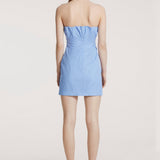 Berry Dress